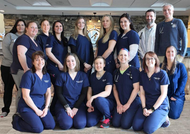 Countryside Veterinary Medical Group - Photo 5