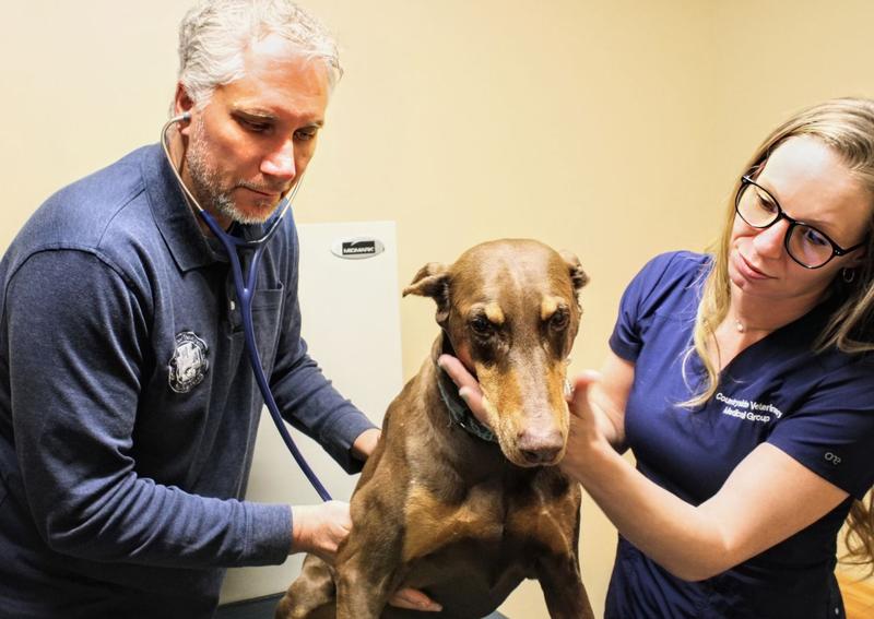 Countryside Veterinary Medical Group - Photo 6